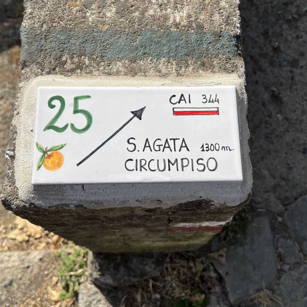 Sorrento – Sant’Agata via Circumpiso - Photo 6
